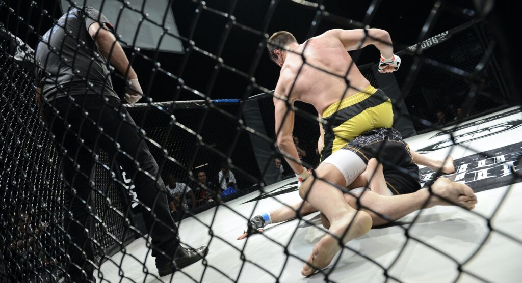 How to bet on MMA? Expert advice 